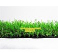 หญ้าเทียมรุ่น Forest 4 cm.(14-044)